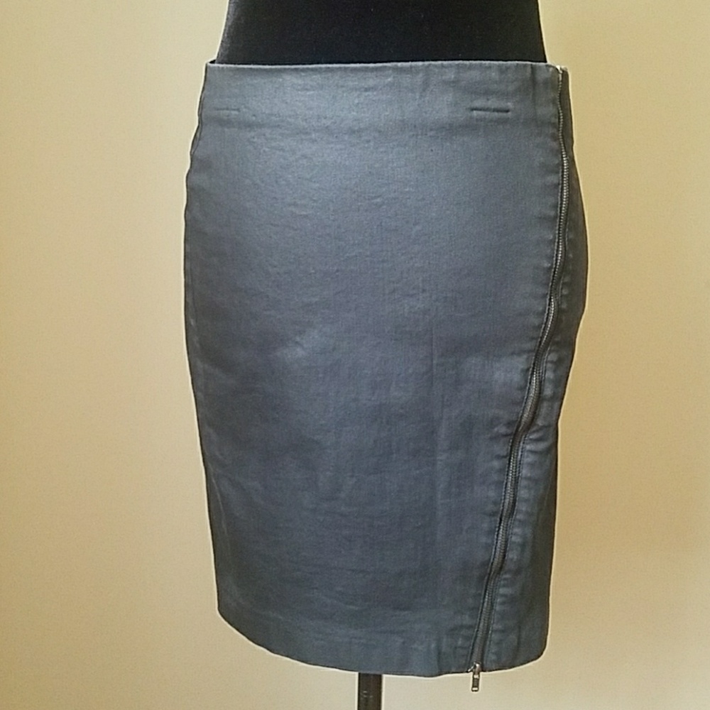 Banana Republic Pencil Skirt
